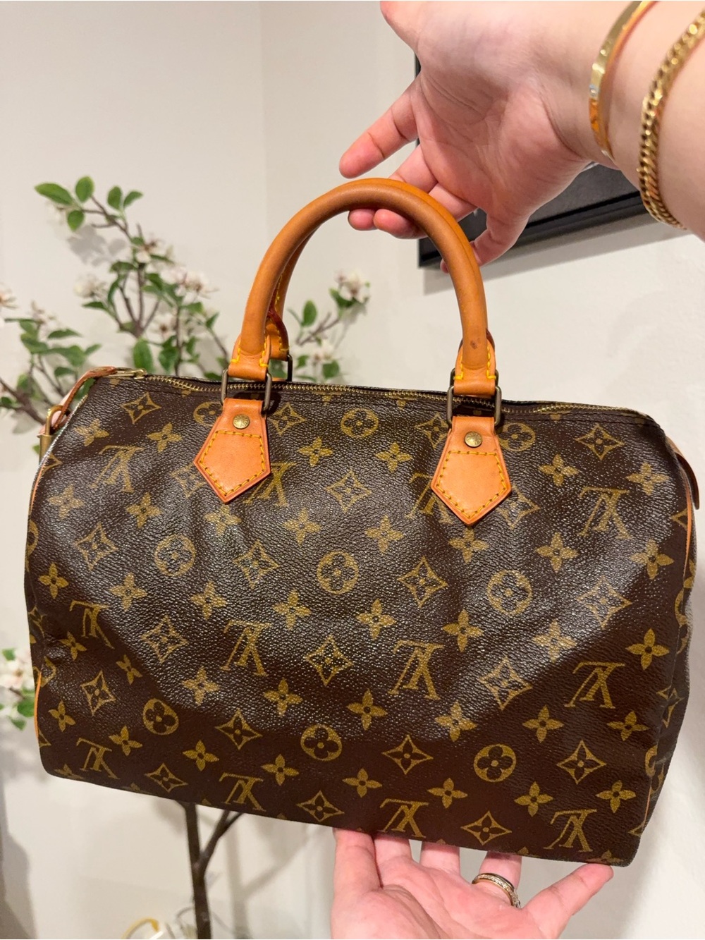 LV Speedy 30 in monogram